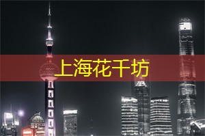 阿拉爱上海：秘密花园：在夜间做的一切
