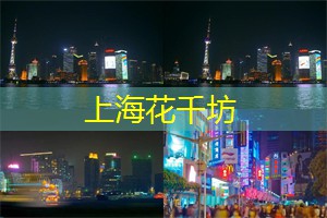上海花千坊：揭示茶叶的奥秘，上海茶庄等你加入